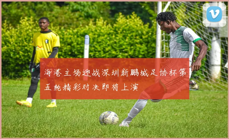 海港主场迎战深圳新鹏城足协杯第五轮精彩对决即将上演
